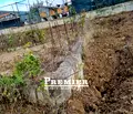 Снимка 3 — Парцел в Бургас, Свети Влас