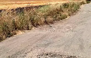 Парцел в Бургас, к.к. Слънчев бряг