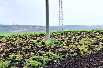 Парцел в Бургас, с. Александрово