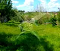 Снимка 3 — Парцел в Бургас, с. Белила