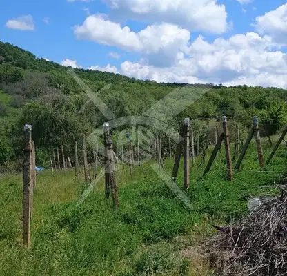 Снимка 4 — Парцел в Бургас, с. Белила