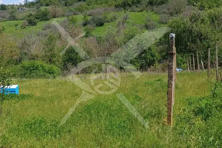 Plot in Oblast Burgas, Belila