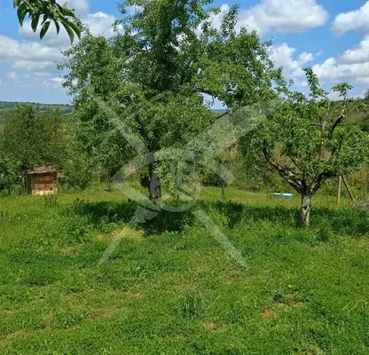 Photo 2 — Plot in Oblast Burgas, Belila