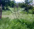 Снимка 3 — Парцел в Бургас, с. Белила