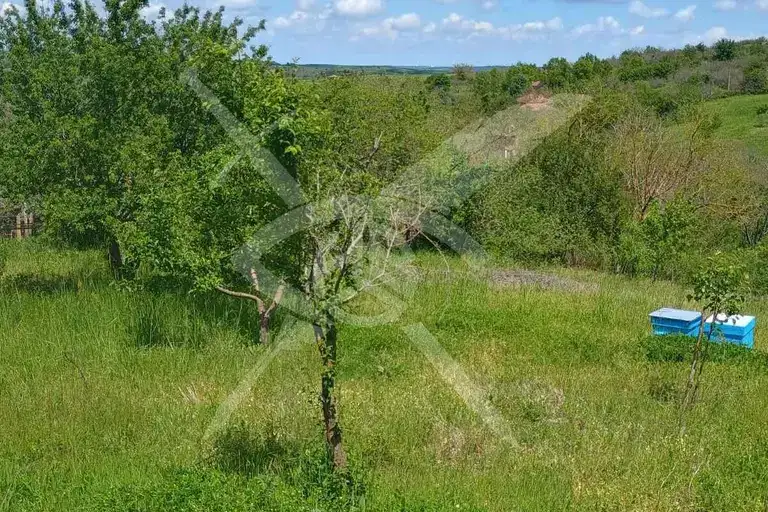 Plot in Oblast Burgas, Belila