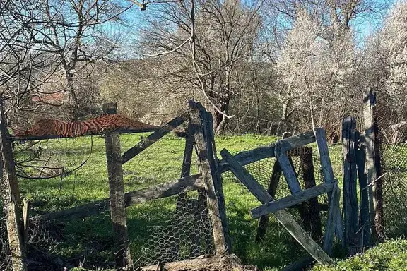Plot in Oblast Burgas, Bryshlyan