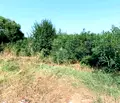 Снимка 5 — Парцел в Бургас, с. Черни връх