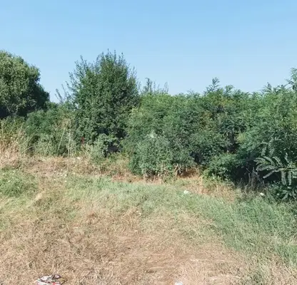 Photo 5 — Plot in Burgas, Cherni Vryh