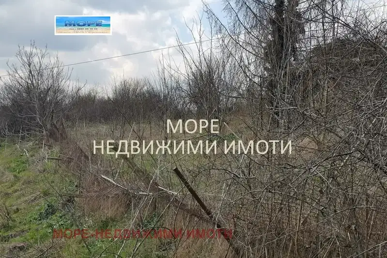 Plot in Oblast Burgas, Cherni Vryh