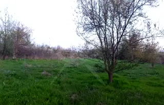 Парцел в Бургас, с. Черни връх