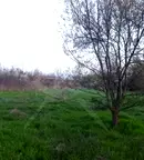 Парцел в Бургас, с. Черни връх
