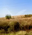 Парцел в Бургас, с. Чубра