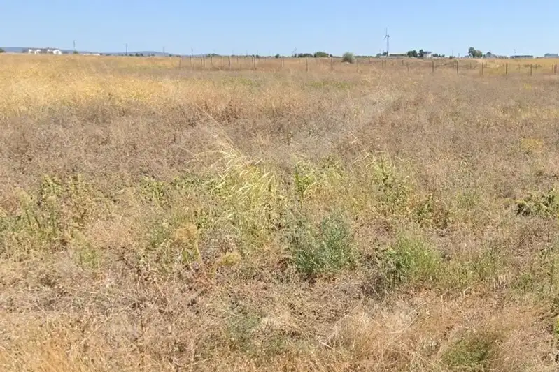 Парцел в Бургас, с. Дебелт