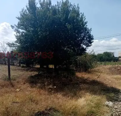 Photo 3 — Plot in Oblast Burgas, Debelt