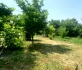 Снимка 2 — Парцел в Бургас, с. Добриново