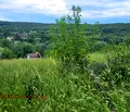 Снимка 5 — Парцел в Бургас, с. Драчево