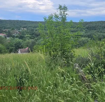 Снимка 5 — Парцел в Бургас, с. Драчево