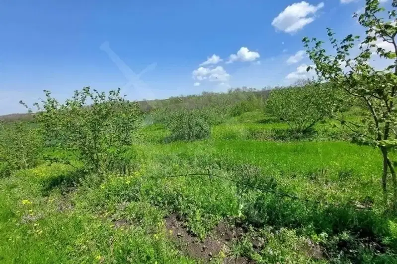 Парцел в Бургас, с. Драчево
