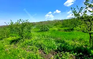 Парцел в Бургас, с. Драчево