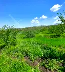 Парцел в Бургас, с. Драчево