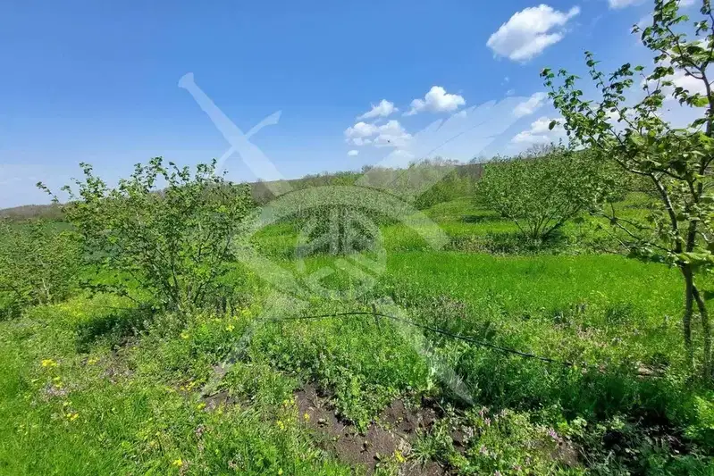 Plot in Oblast Burgas, Drachevo