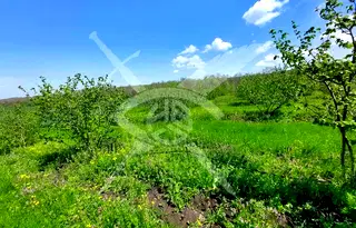 Парцел в Бургас, с. Драчево