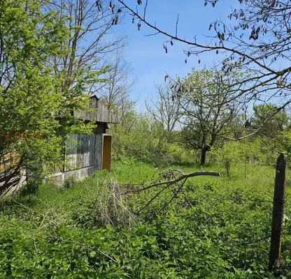 Снимка 2 — Парцел в Бургас, с. Дюлево