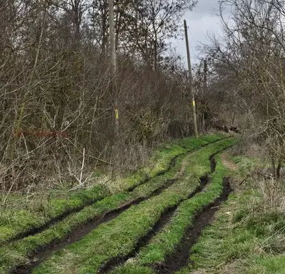 Снимка 4 — Парцел в Бургас, с. Дюлево