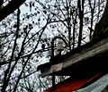 Снимка 5 — Парцел в Бургас, с. Дюлево