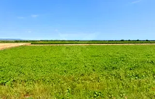 Парцел в Бургас, с. Емона