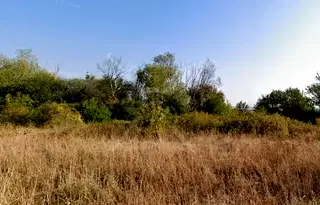 Парцел в Бургас, с. Емона
