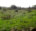 Снимка 5 — Парцел в Бургас, с. Емона