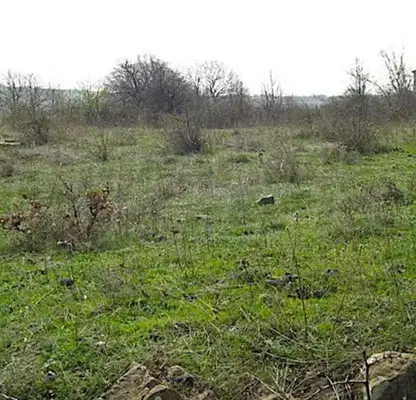 Photo 5 — Plot in Oblast Burgas, Emona