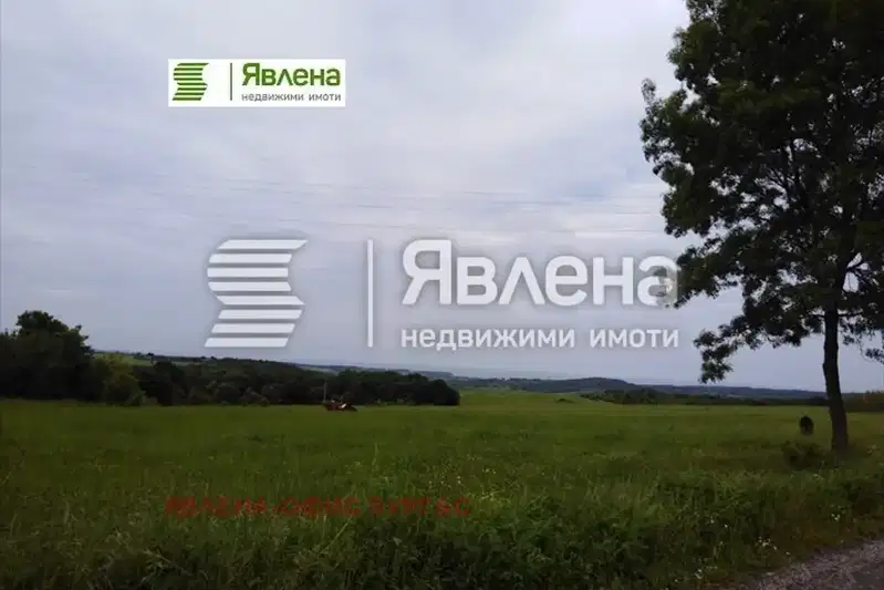 Plot in Oblast Burgas, Fazanovo