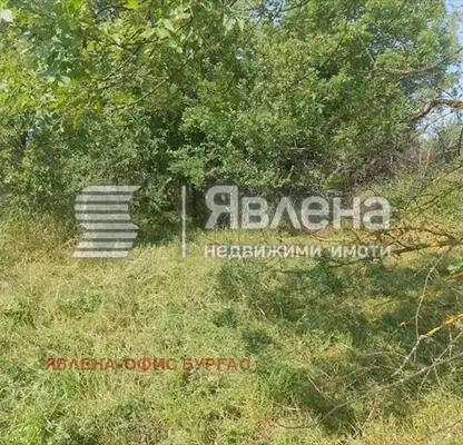 Снимка 2 — Парцел в Бургас, с. Фазаново