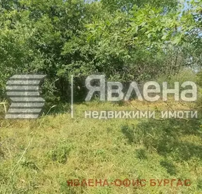 Снимка 3 — Парцел в Бургас, с. Фазаново
