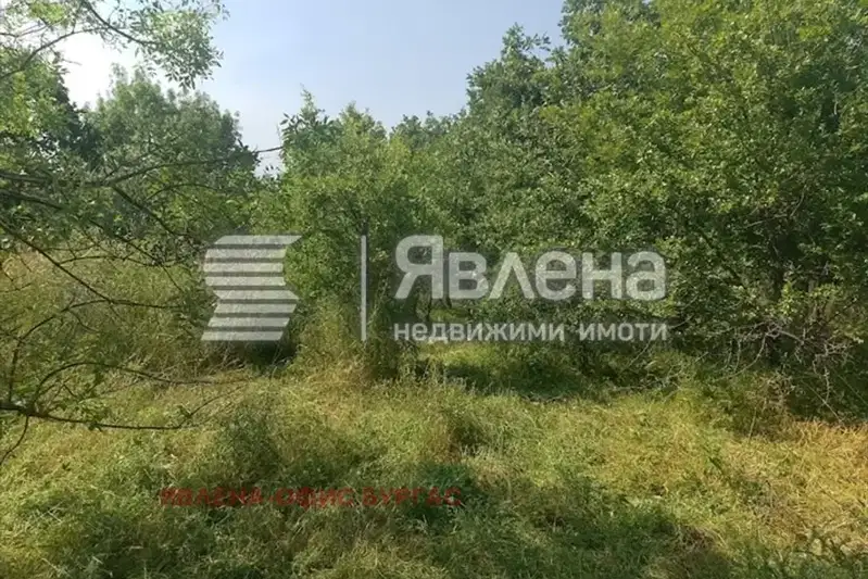 Парцел в Бургас, с. Фазаново