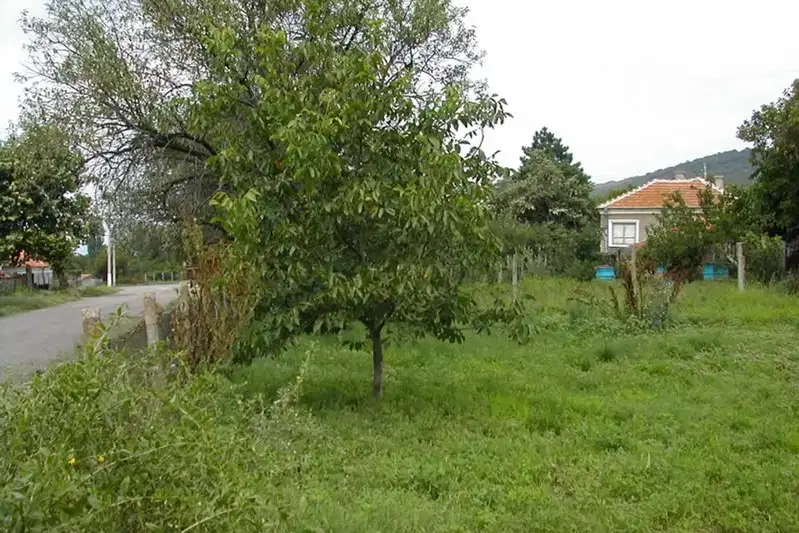 Plot in Oblast Burgas, Gorica