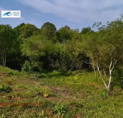 Photo 4 — Plot in Oblast Burgas, Izgrev