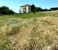 Снимка 4 — Парцел в Бургас, с. Кошарица