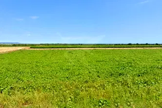 Парцел в Бургас, с. Кошарица