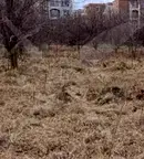 Парцел в Бургас, с. Кошарица
