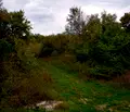 Снимка 2 — Парцел в Бургас, с. Кошарица
