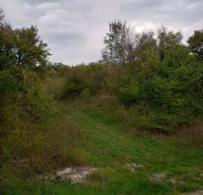 Снимка 2 — Парцел в Бургас, с. Кошарица