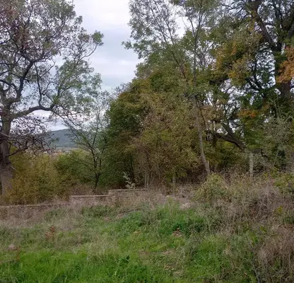 Снимка 5 — Парцел в Бургас, с. Кошарица