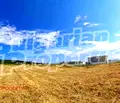 Снимка 3 — Парцел в Бургас, с. Кошарица