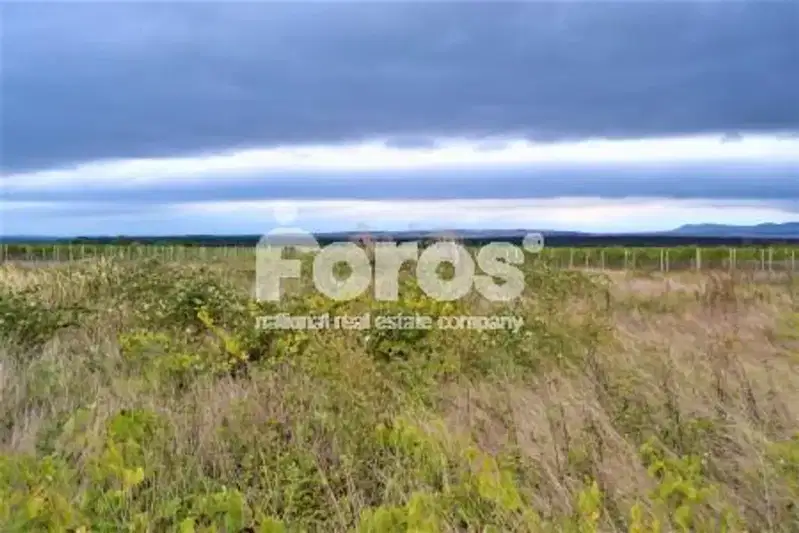 Plot in Oblast Burgas, Kosharica