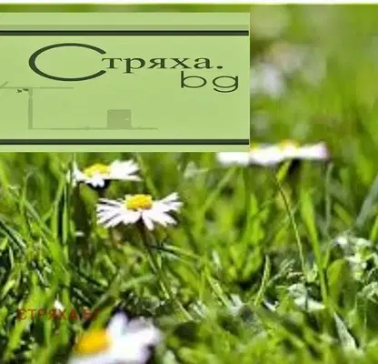 Снимка 2 — Парцел в Бургас, с. Крушевец