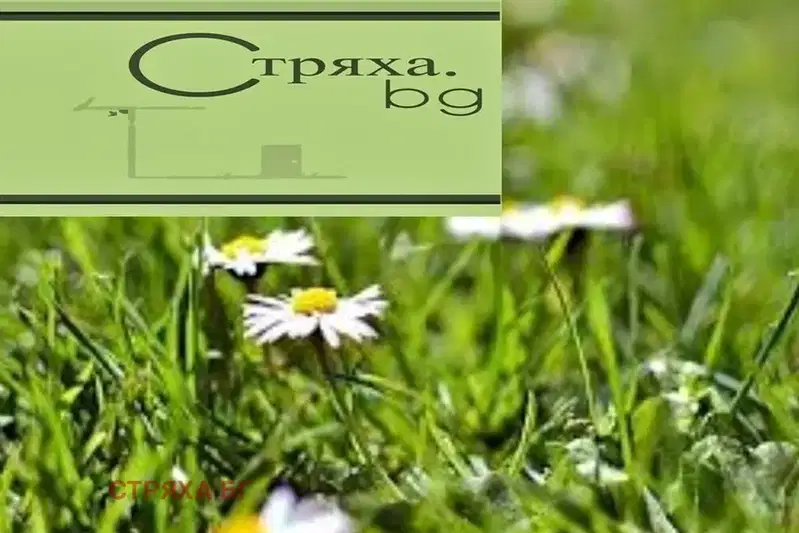 Plot in Oblast Burgas, Krushevec