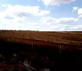 Снимка 5 — Парцел в Бургас, с. Кръстина